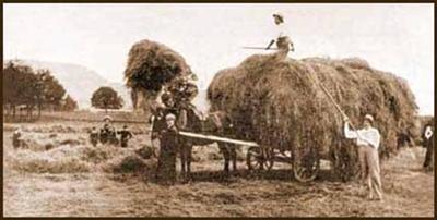 019 Haymaking in Charlton Park 1903 © David Hanks