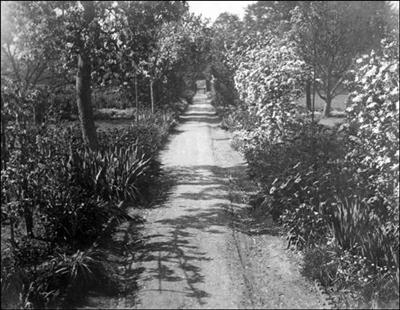 061 Dorothy Vassar-Smith Album c1920 © CKLHS