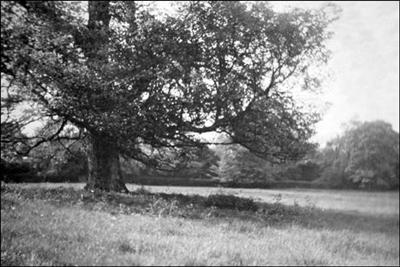 073 Dorothy Vassar-Smith Album c1920 © CKLHS