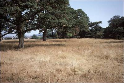 106 35mm slide of Charlton Park 1976 ©J Rawes