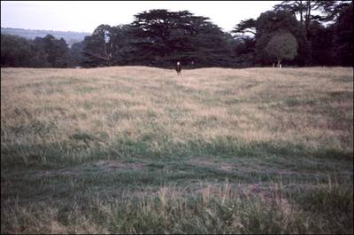 109 35mm slide of Charlton Park Ridge & Furrow ©J Rawes