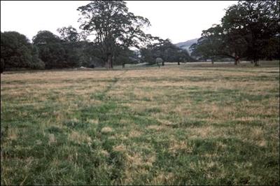 110 35mm slide of Charlton Park towards Charlton Common ©J Rawes