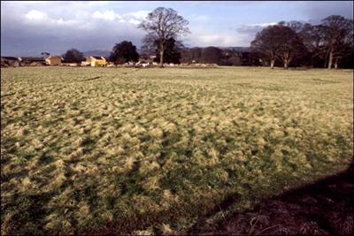 113 35mm slide Charlton Park 1979 ©J Rawes