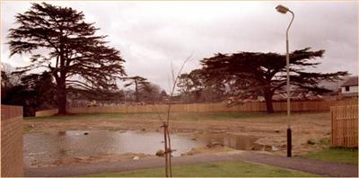 121 Final phase of King William Drive 1983 ©David Hanks