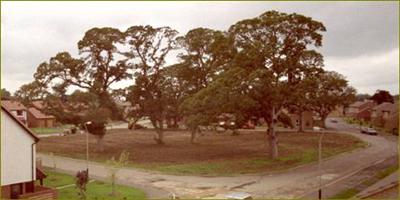 126 Final phase of King William Drive - The Green1983 ©David Hanks